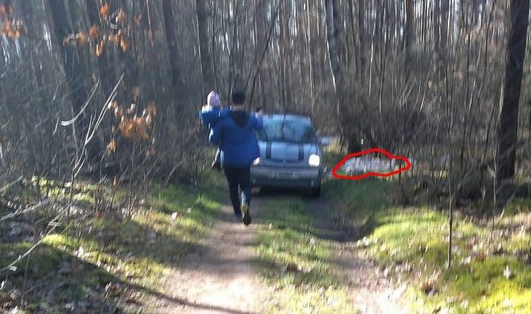 śmieci w lesie