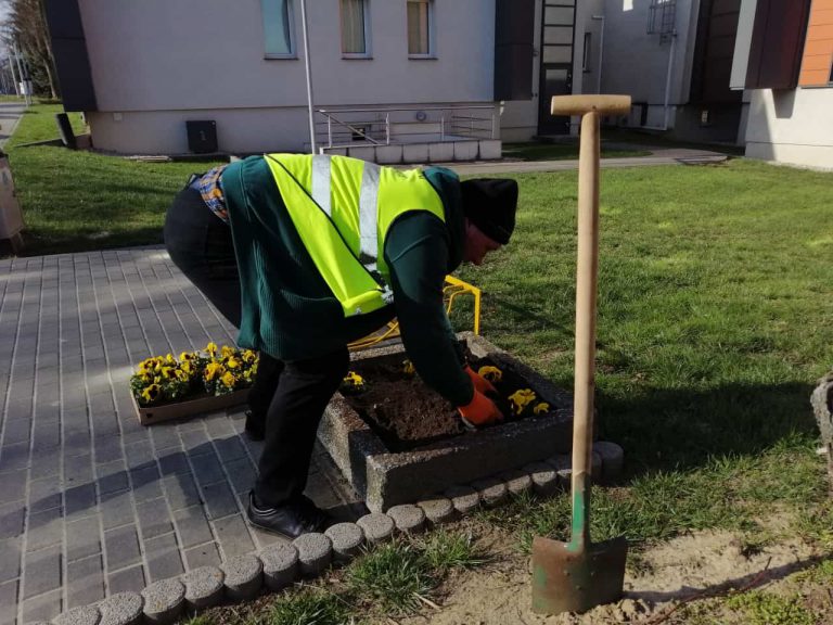 bratki przed urzędem gminy komorniki