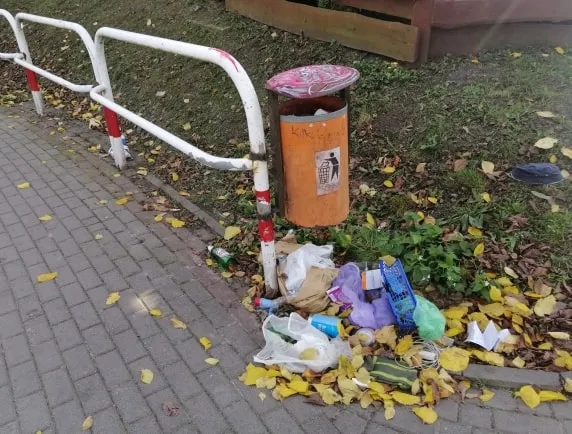 bałagan komorniki
